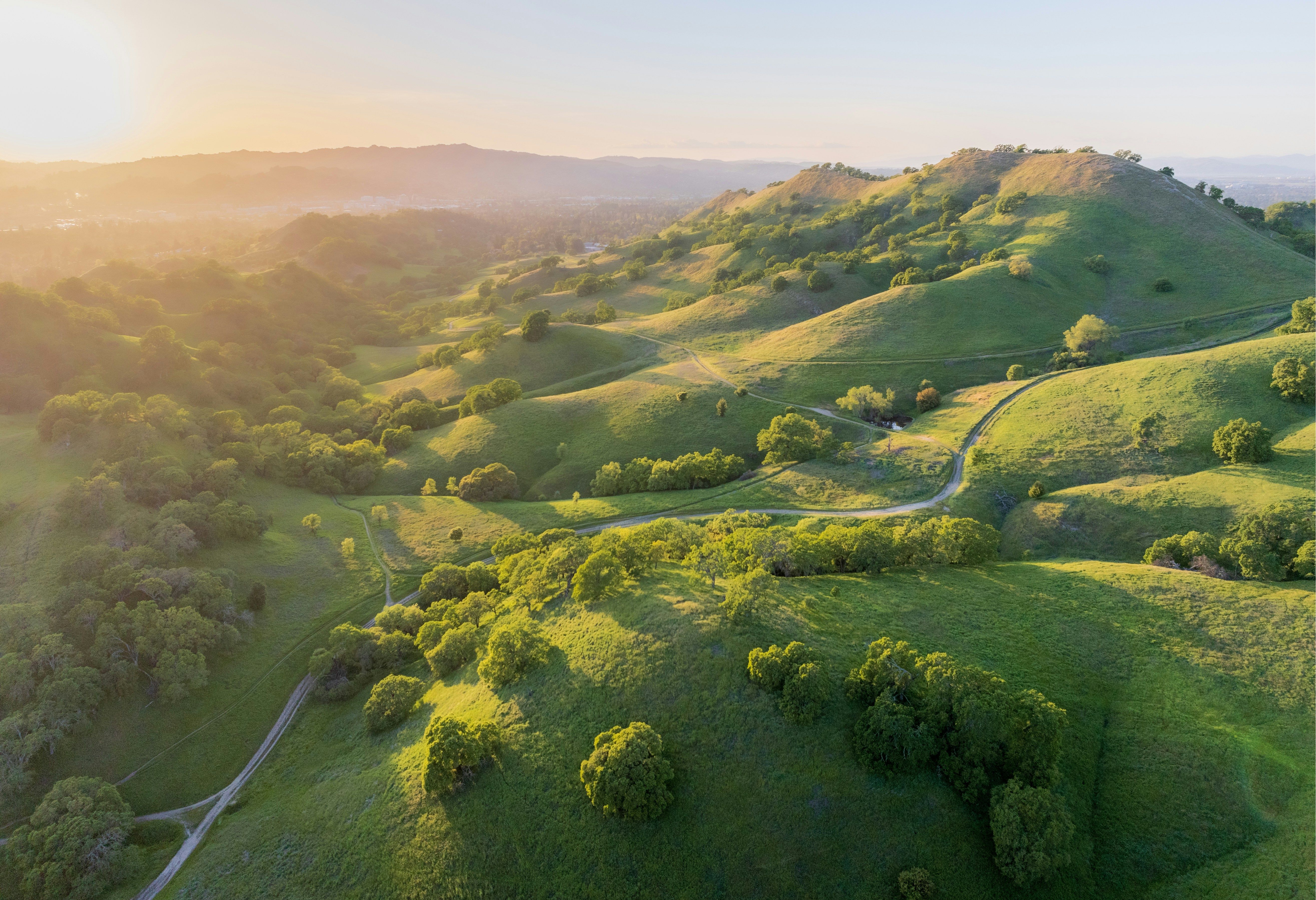 Dron Green